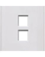 QUICKPORT 2 PORT WALL PLATE IVORY