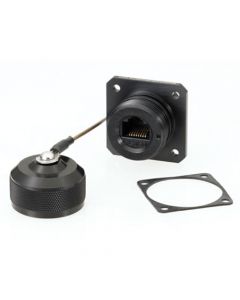 Category 6, Ruggedized Flange Mount, Anodized finish with Dust Cap